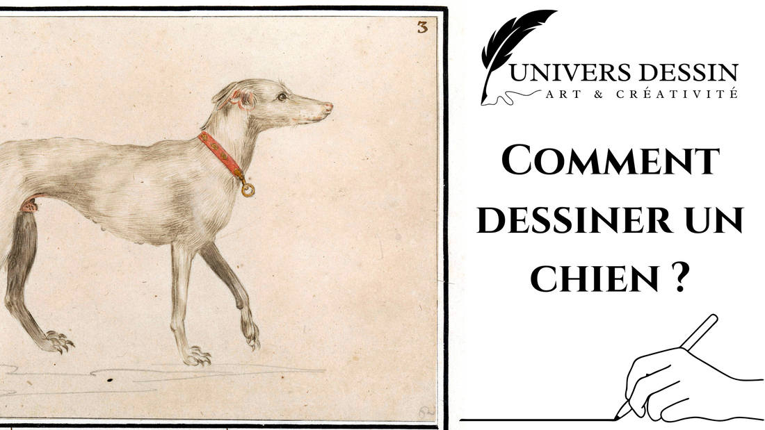 Comment dessiner un chien ?