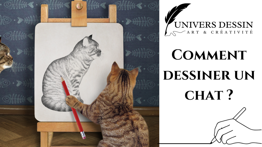 Comment dessiner un chat ?